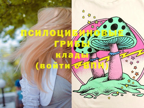 гидропоника Армянск