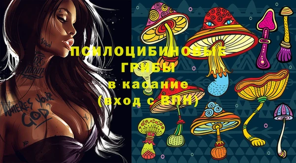 a pvp Арсеньев