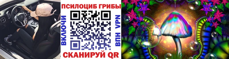 Псилоцибиновые грибы Magic Shrooms  Волхов 